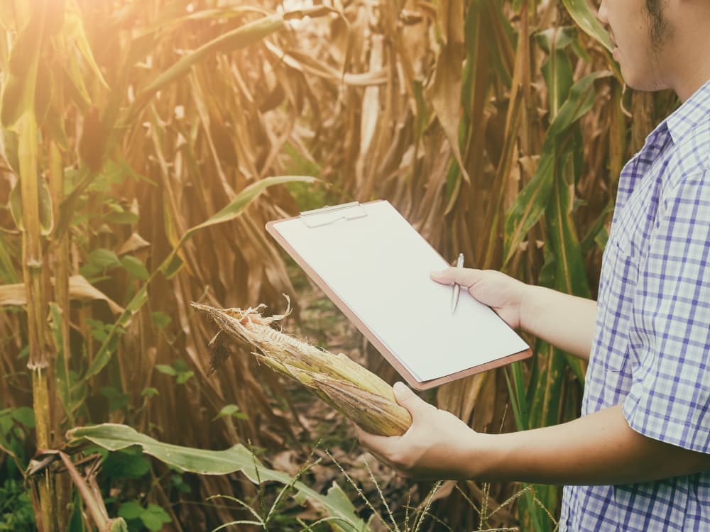 Curso de Agronomia EAD