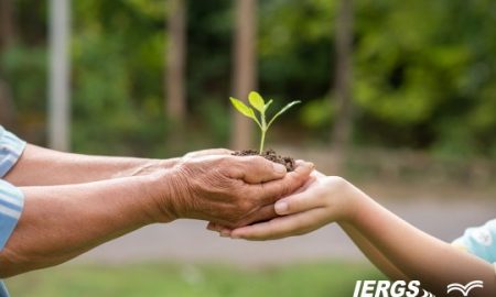 Educação Ambiental e Sustentabilidade