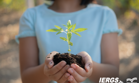 Gestão e Educação Ambiental