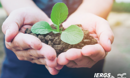 Meio Ambiente e Sustentabilidade